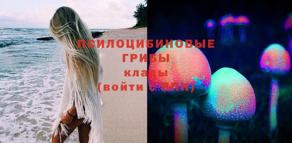 мяу мяу мука Верея