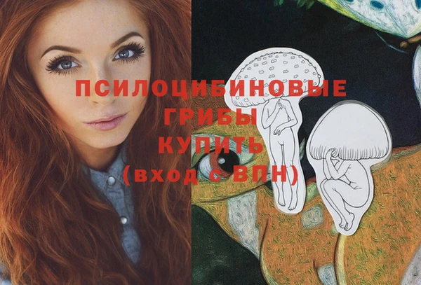 МДПВ Верхний Тагил